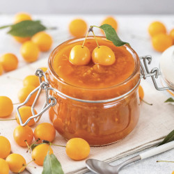 Confiture extra de mirabelles
