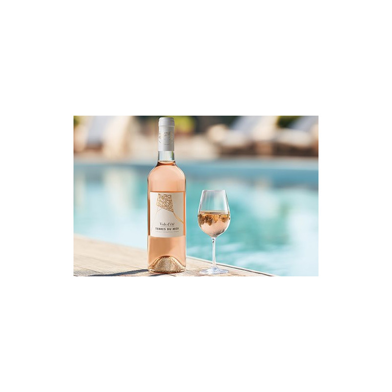 La bouteille de 75 cl TERRES DU MIDI IGP