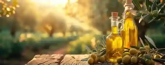Autour de l'olive