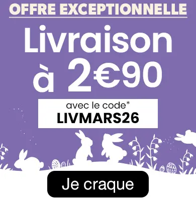 Livraison_à_2€90